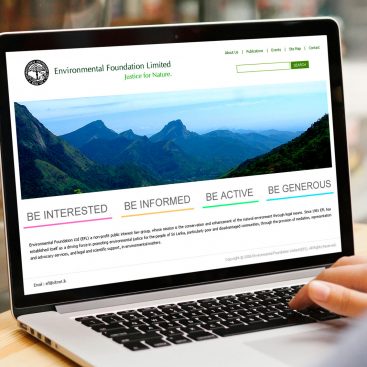 environment website design